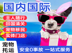 南洋空运代理国际宠物托运 【国
